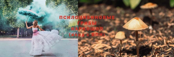 крисы Инта
