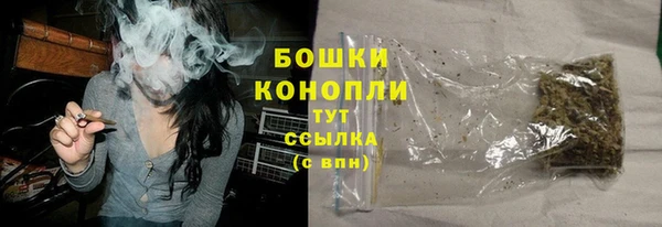 СК Зерноград
