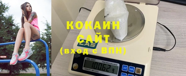 крисы Инта
