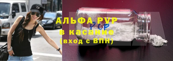 крисы Инта