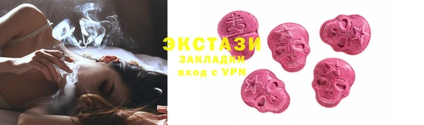 крисы Инта