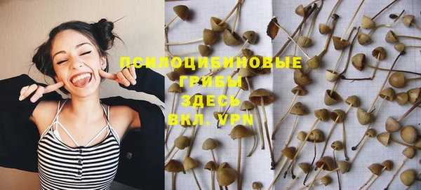 а пвп мука Инсар