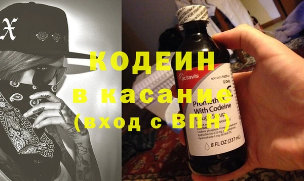 крисы Инта