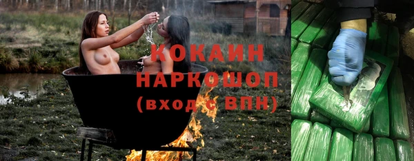 крисы Инта