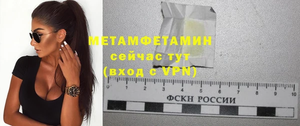 крисы Инта