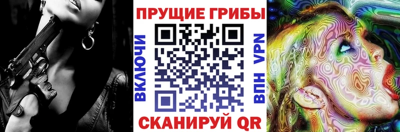 Псилоцибиновые грибы Psilocybine cubensis  купить закладку  Кизляр 