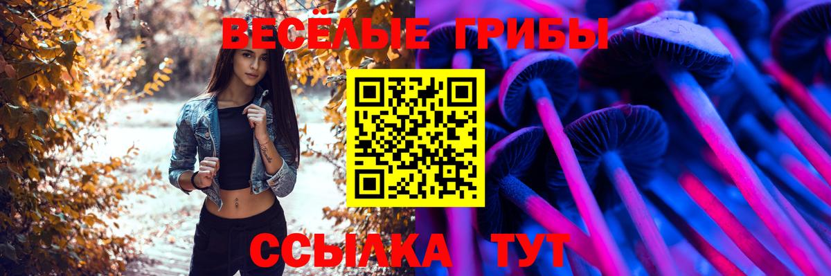 Галлюциногенные грибы MAGIC MUSHROOMS  Вход с VPN  Кизляр 