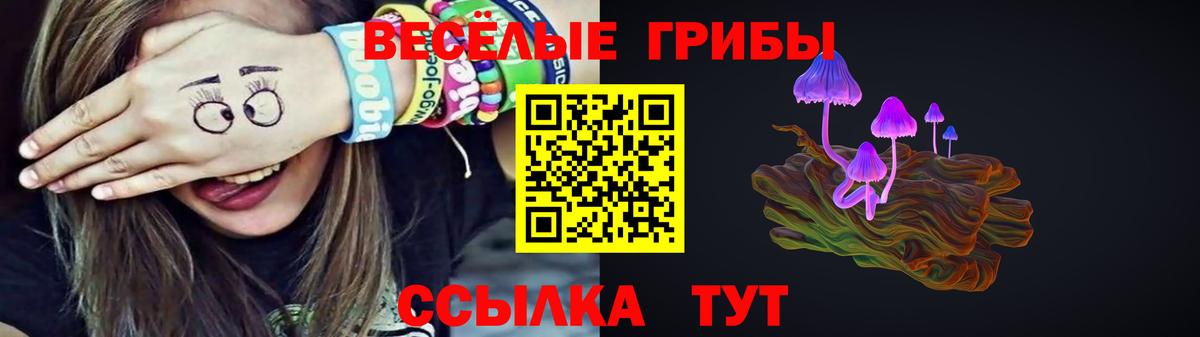 Псилоцибиновые грибы мицелий Кизляр
